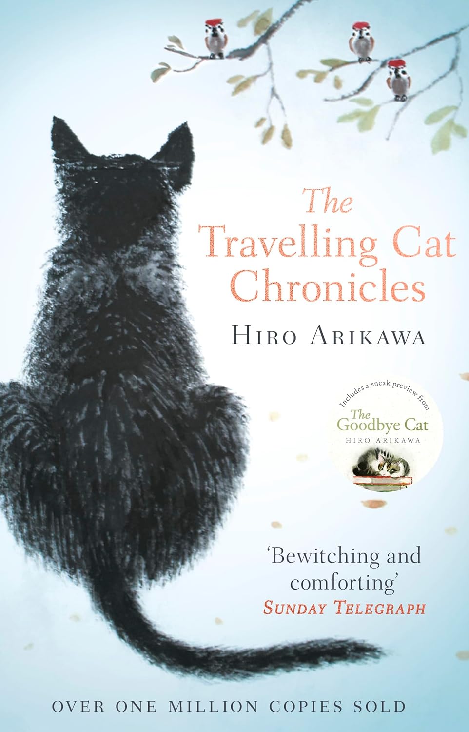 The Travelling Cat Chronicles Paperback