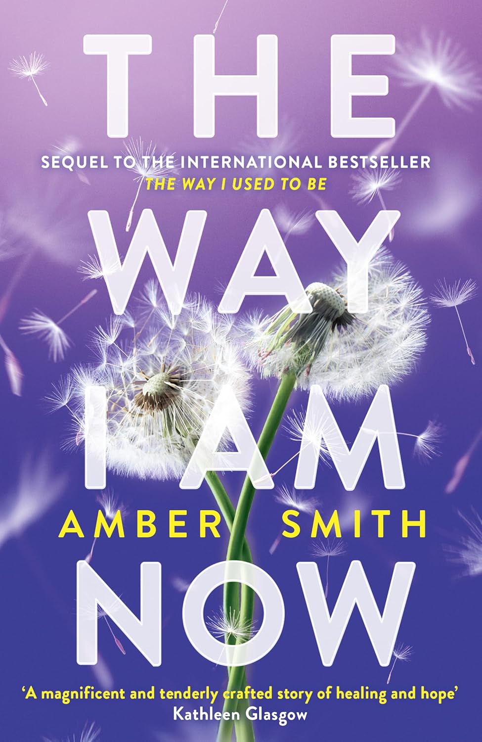 The Way I Am Now Paperback