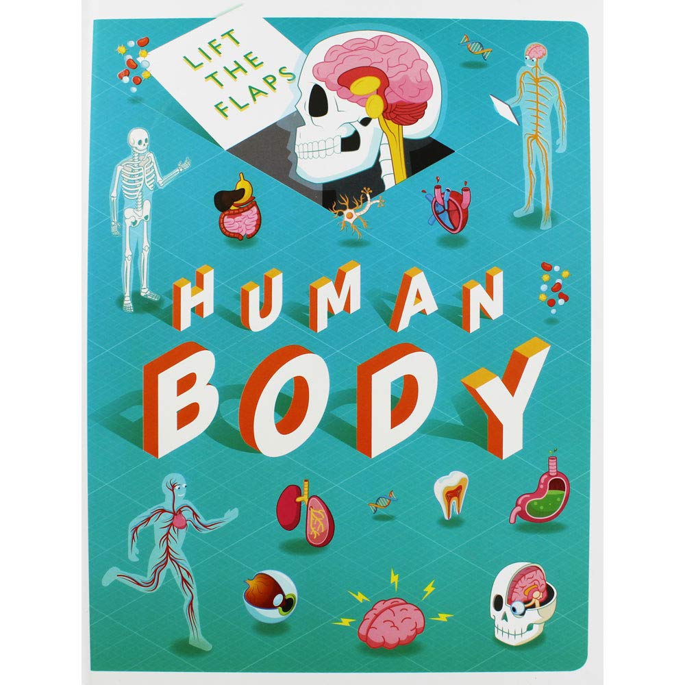 Lift The Flaps: Human Body (Discovery Lift the Flaps) Board book – December 1, 2018 - littlepuffinNon - FictionIgloo BooksBook Cover: Lift The Flaps Human Body