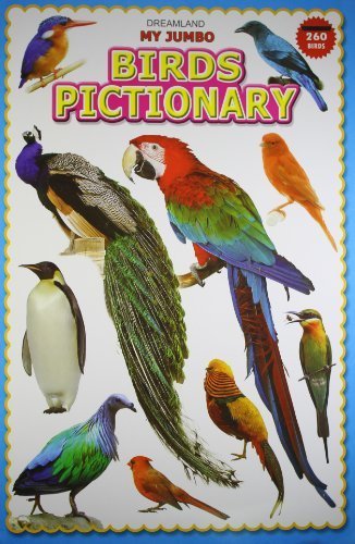 My Jumbo Birds Pictionary - littlepuffinChildren's Non - Fiction, Picture Books, Educational BooksDream LandBook Cover: My Jumbo Birds Pictionary