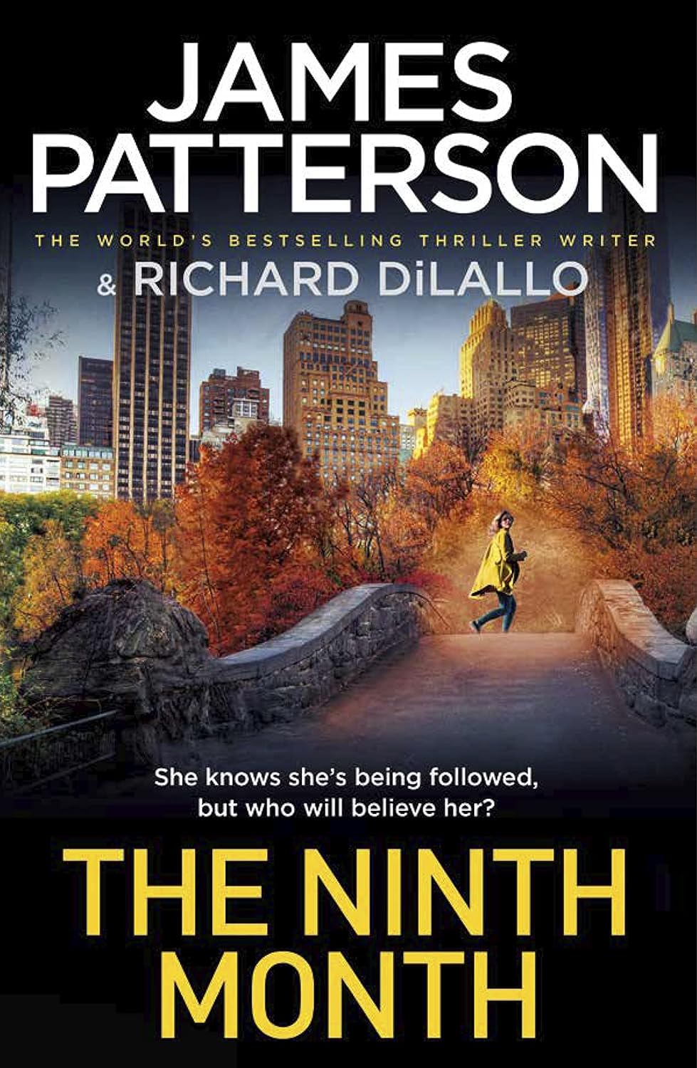 The Ninth Month Paperback – August 18, 2022 - littlepuffinFictioncornerstoneBook Cover: The Ninth Month