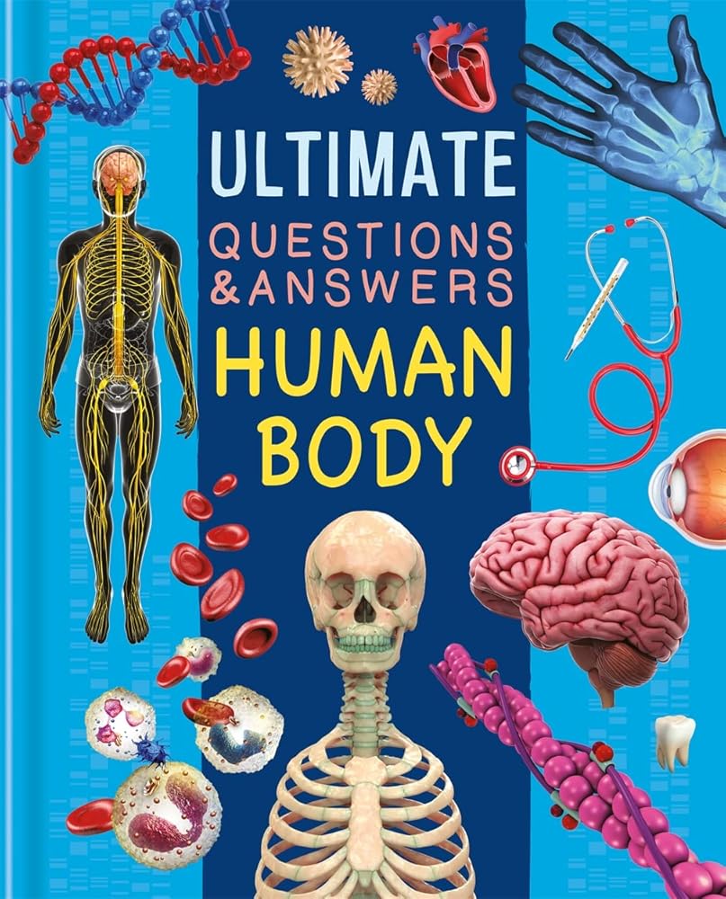 Ultimate Questions & Answers: Human Body - littlepuffinChildren's Non - Fiction, Educational BooksIgloo BooksUltimate Questions & Answers: Human Body cover image