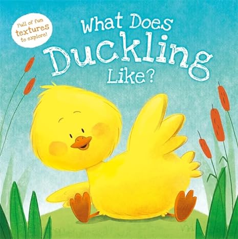 What Does Duckling Like? - littlepuffinChildren's Non - Fiction, Picture Books, Educational BooksIgloo BooksWhat Does Duckling Like?