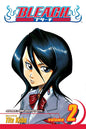 Bleach, Volume 02