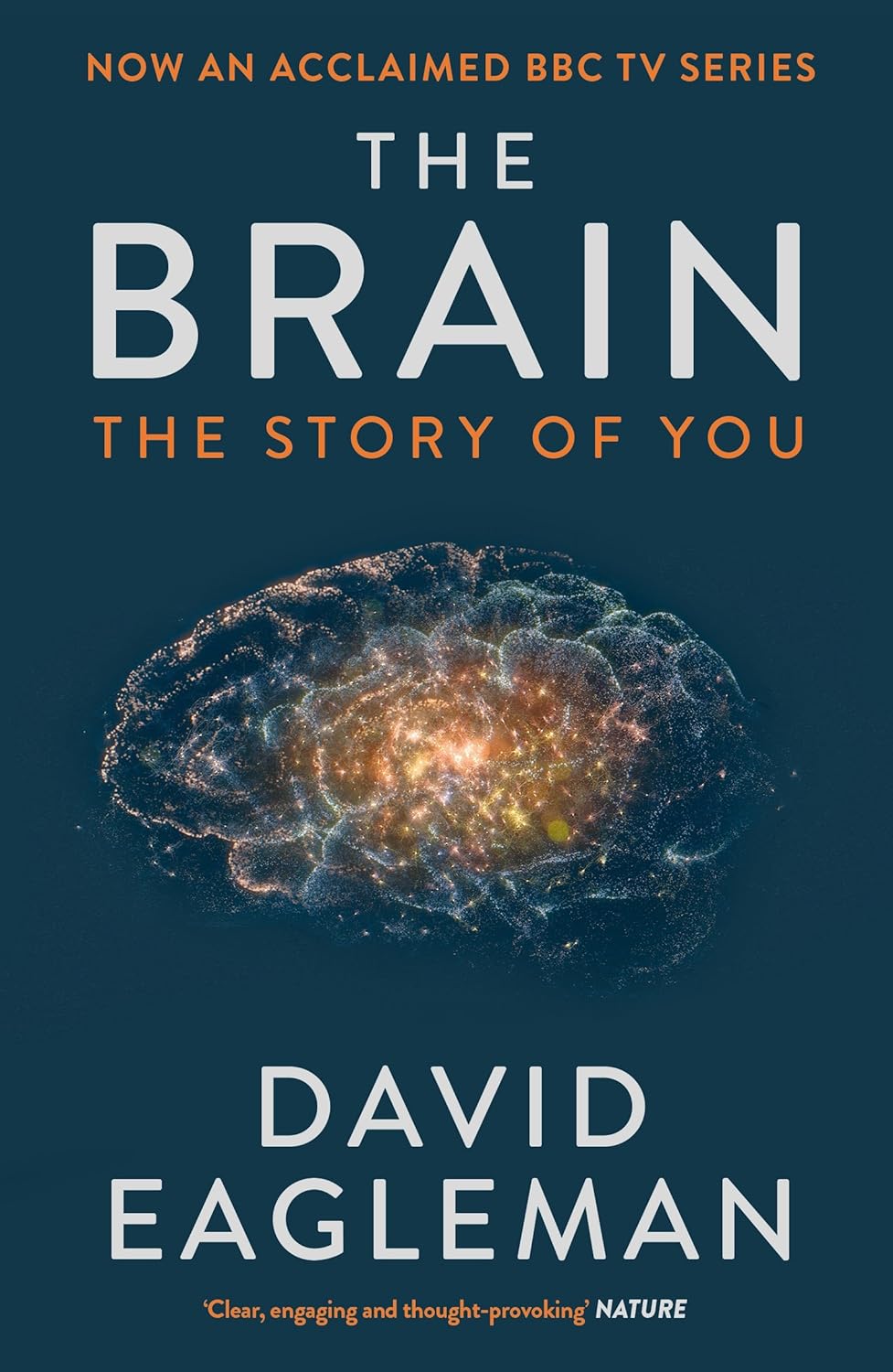 The Brain: The Story of You Paperback