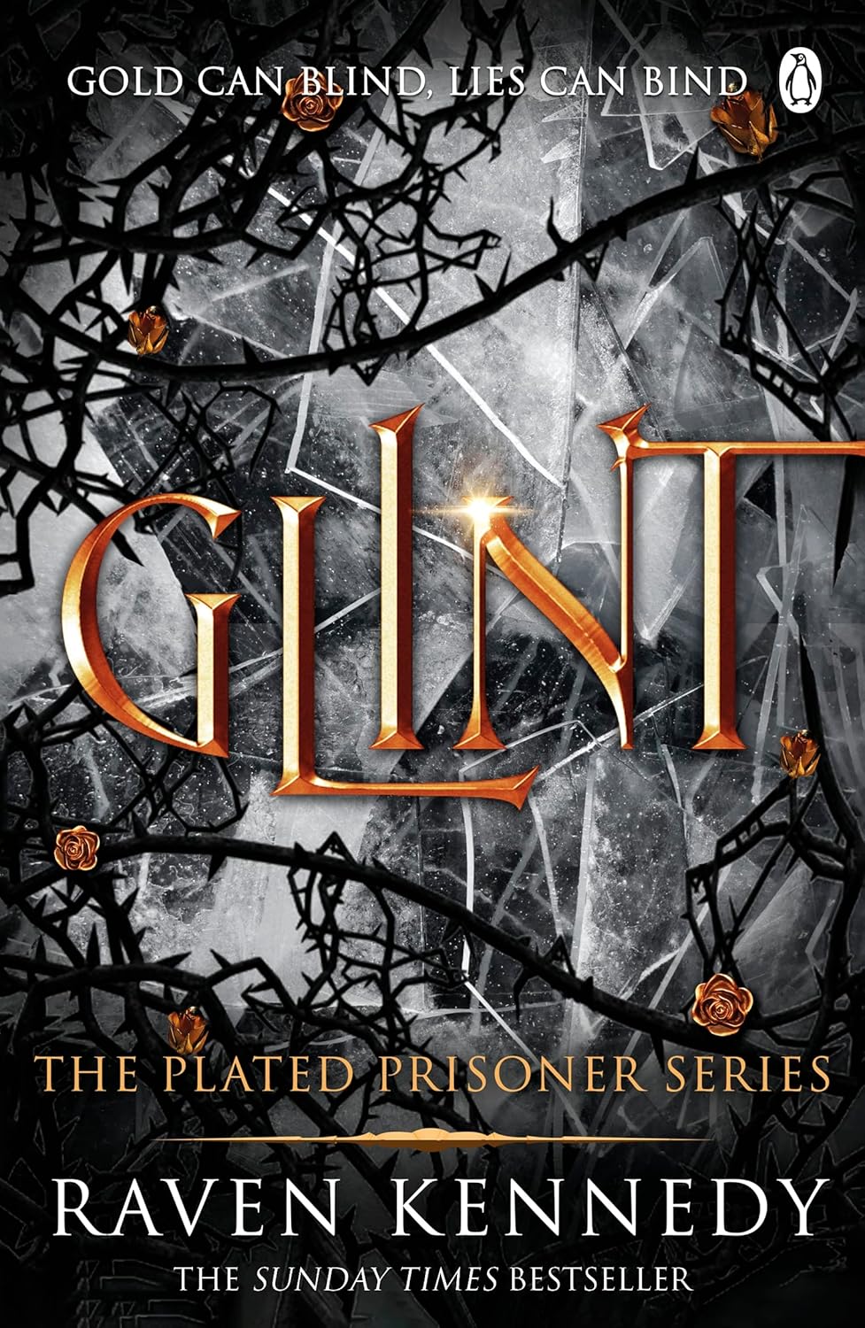 Glint: The TikTok fantasy sensation that’s sold over half a million copies Paperback