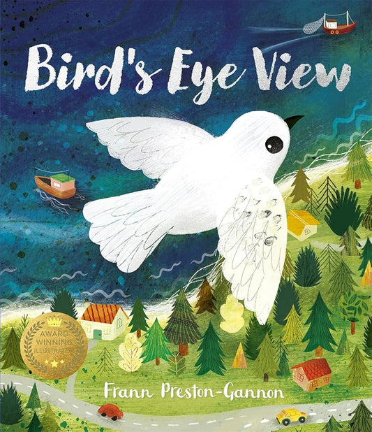 Bird's Eye View cover image