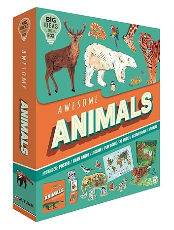 Awesome Animals - littlepuffinChildren's Non - FictionIgloo BooksOrange & Cyan Box: Awesome Animals