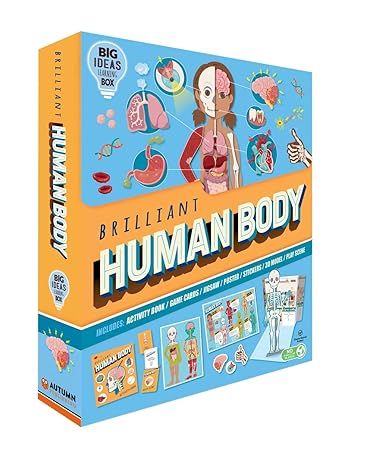 Brilliant Human Body - littlepuffinChildren's Non - FictionIgloo BooksBox: Brilliant Human Body