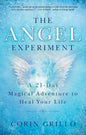 The Angel Experiment: A 21 - Day Magical Adventure to Heal Your Life Paperback – October 29, 2019 - littlepuffinNon - FictionNew world libraryBook Cover: The Angel Experiment