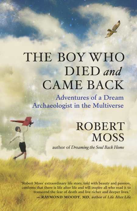 The Boy Who Died and Came Back: Adventures of a Dream Archaeologist in the Multiverse Paperback – 15 April 2014 - littlepuffinNovel, Science FictionNew world libraryBook Cover: The Boy who Died & Came Back